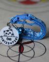 Customizable-name-tag-with-belt-Pet-goods-1.jpg