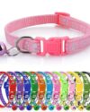 Double part cat name tag with belt-Pet goods - Thumbnail Image 3