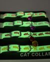 Customizable Cat name tag with belt - Thumbnail Image 5