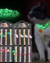Redium belt-Pet goods