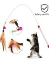 Teaser Cat Toy-cat playing
